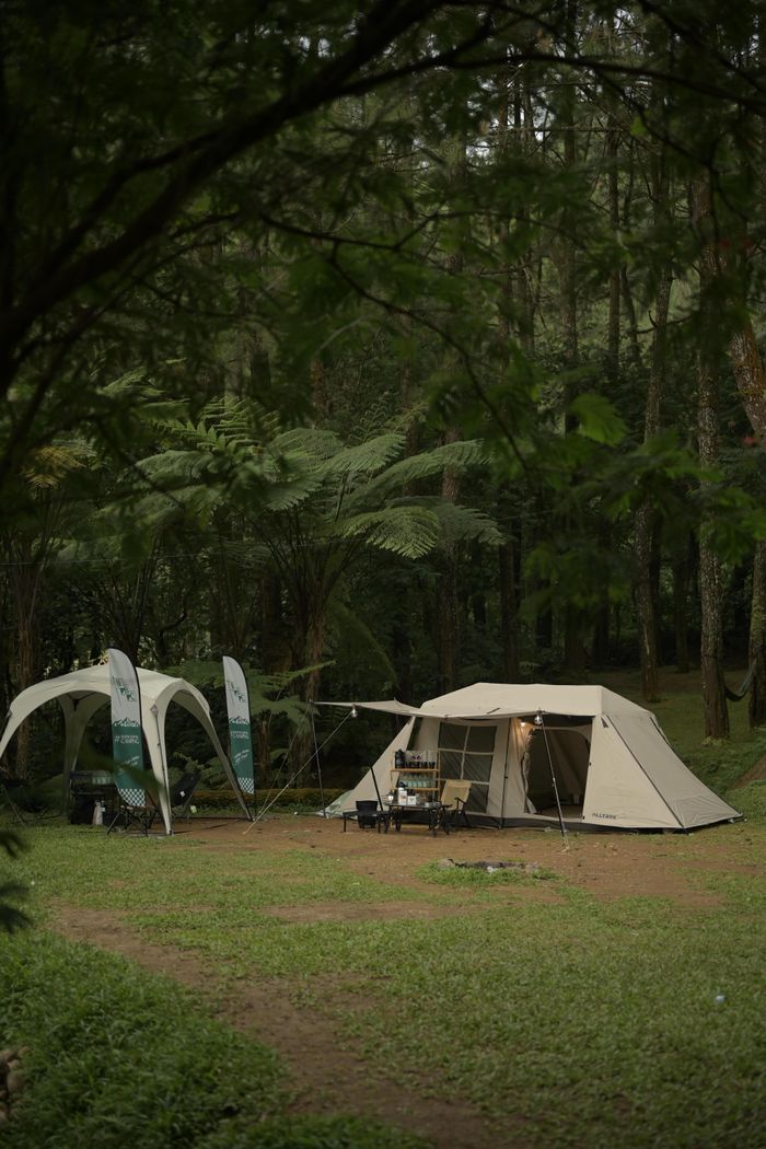 Cozy tent nestled in lush West Java forest, perfect for outdoor adventure.